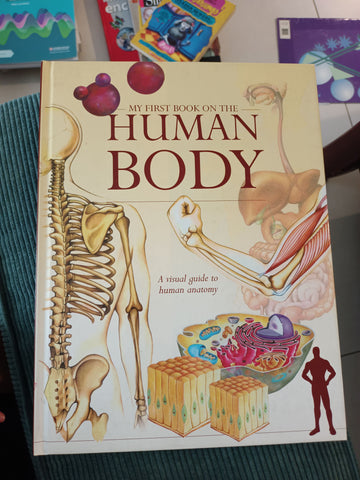 My First Book on the Human Body A Visual Guide to Human Anatomy