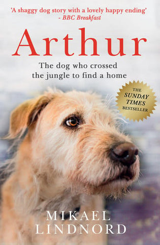Arthur: the dog who crossed the jungle to find a home