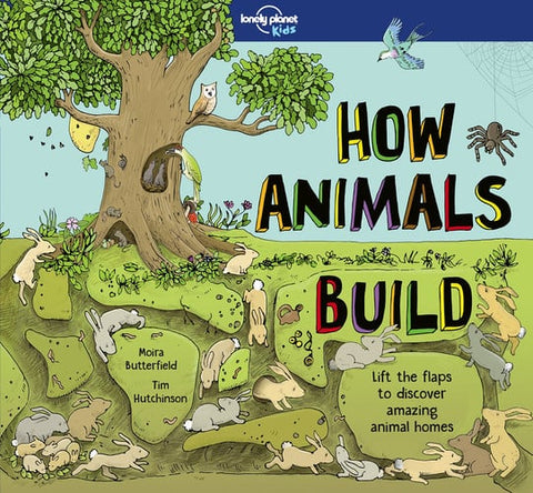 How animals build: lift the flaps to discover amazing animal homes