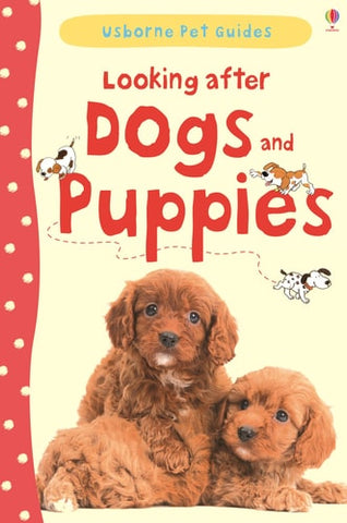 Looking After Dogs and Puppies