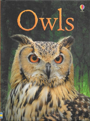 Owls