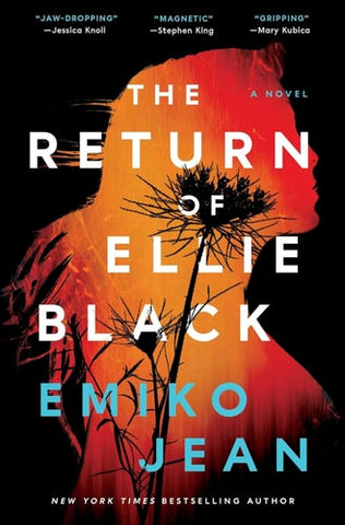 The Return of Ellie Black A Novel