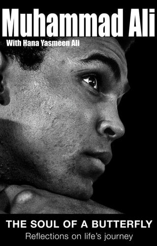 The Soul of a Butterfly Reflections on Life's Journey