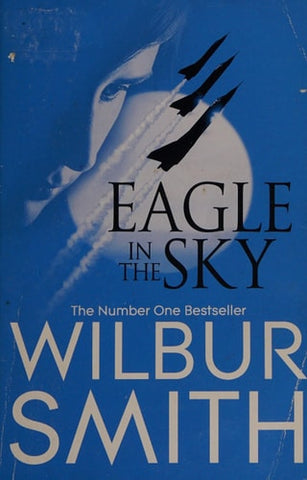 Eagle in the Sky